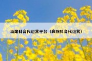 汕尾抖音代运营平台（襄阳抖音代运营）