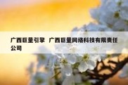 广西巨量引擎  广西巨量网络科技有限责任公司