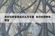 竞价托管宣传语怎么写文案  竞价托管哪家便宜