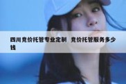 四川竞价托管专业定制  竞价托管服务多少钱