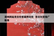 潮州网站竞价托管案例分析  竞价托管推广服务