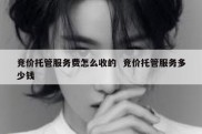 竞价托管服务费怎么收的  竞价托管服务多少钱