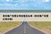 竞价推广托管公司价格怎么样（竞价推广托管公司介绍）