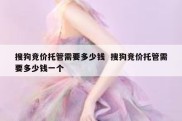 搜狗竞价托管需要多少钱  搜狗竞价托管需要多少钱一个