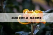 都江堰竞价托管  都江堰拍卖