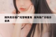 搜狗竞价推广托管哪里有  搜狗推广价格价目表