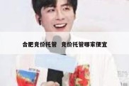 合肥竞价托管  竞价托管哪家便宜