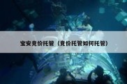 宝安竞价托管（竞价托管如何托管）