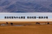 竞价托管为什么便宜  竞价托管一般多少钱