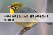 抖家小助手怎么上热门  抖家小助手怎么上热门赚钱