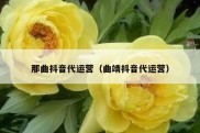 那曲抖音代运营（曲靖抖音代运营）