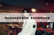 河北竞价托管效果怎样  竞价托管如何托管