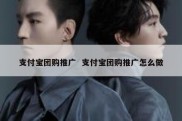 支付宝团购推广  支付宝团购推广怎么做