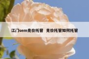 江门sem竞价托管  竞价托管如何托管