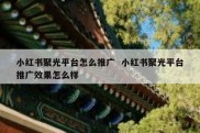 小红书聚光平台怎么推广  小红书聚光平台推广效果怎么样