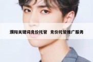 濮阳关键词竞价托管  竞价托管推广服务