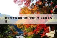 竞价托管代运营技术  竞价托管代运营多少钱