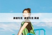 渠道引流  渠道引流 英语
