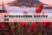 账户竞价托管佳选异变网络  竞价账户托管收费