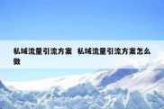 私域流量引流方案  私域流量引流方案怎么做