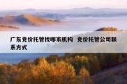 广东竞价托管找哪家机构  竞价托管公司联系方式