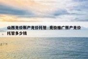 山西竞价账户竞价托管  竞价推广账户竞价托管多少钱