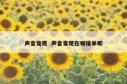 声音变现  声音变现在哪接单呢
