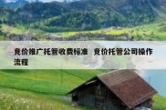 竞价推广托管收费标准  竞价托管公司操作流程