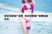 竞价托管推广收费  竞价托管推广收费标准文件