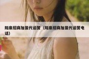 阳泉招商加盟代运营（阳泉招商加盟代运营电话）