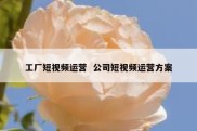 工厂短视频运营  公司短视频运营方案