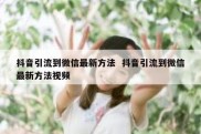 抖音引流到微信最新方法  抖音引流到微信最新方法视频