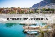 地产营销企业  地产公司营销策略分析