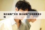 独立站推广引流  独立站推广引流需要多少钱