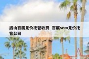 眉山百度竞价托管收费  百度sem竞价托管公司