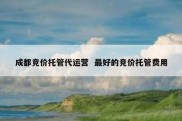 成都竞价托管代运营  最好的竞价托管费用