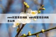 aws托管竞价训练  aws托管竞价训练怎么样