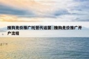 搜狗竞价推广托管代运营  搜狗竞价推广开户流程