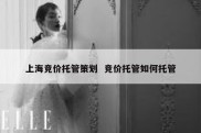 上海竞价托管策划  竞价托管如何托管