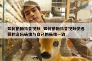 如何拍摄抖音视频  如何拍摄抖音视频使选择的音乐头像与自己的头像一致