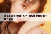 青岛托管竞价推广账户  青岛托管竞价推广账户查询