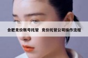 合肥竞价账号托管  竞价托管公司操作流程