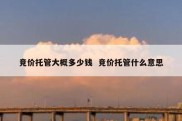竞价托管大概多少钱  竞价托管什么意思