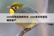 sem托管应找微竞价  sem竞价托管在哪找客户