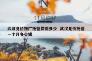 武汉竞价推广托管费用多少  武汉竞价托管一个月多少钱