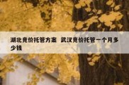 湖北竞价托管方案  武汉竞价托管一个月多少钱
