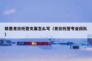销售竞价托管文案怎么写（竞价托管专业团队）