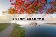 合伙人推广  合伙人推广方案