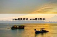 sem竞价公司  sem竞价排名