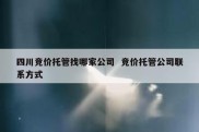 四川竞价托管找哪家公司  竞价托管公司联系方式